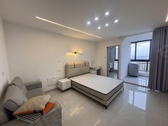 嘉兴嘉善魏塘街道南桥嘉善商城附近精装阳台大单间押一付一，拎包入住，可短租出租房源真实图片
