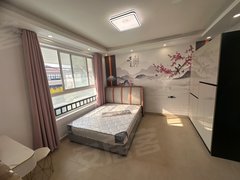 上海浦东惠南宣桥镇上 两室一厅 热闹地带 装修全配 拎包入住出租房源真实图片