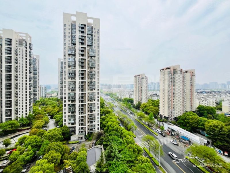 老业主急卖,天都正3房,可观狮子山 博物馆一线景观,满五 ,天都花园(南