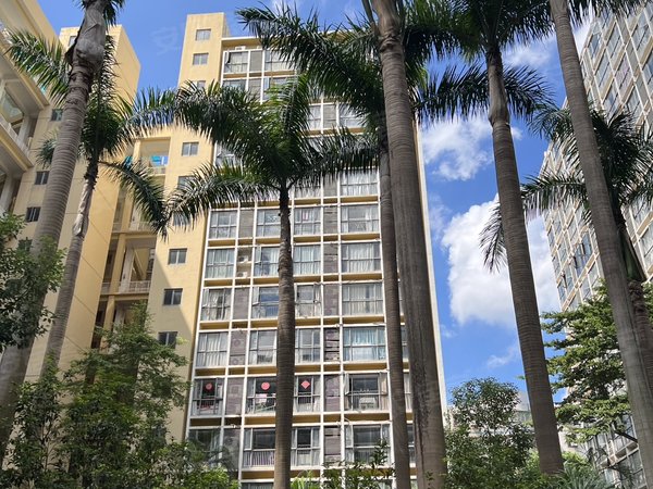 深圳龙华龙华青年城邦园青年城邦园 采光好 南北通透 电梯房出租房源