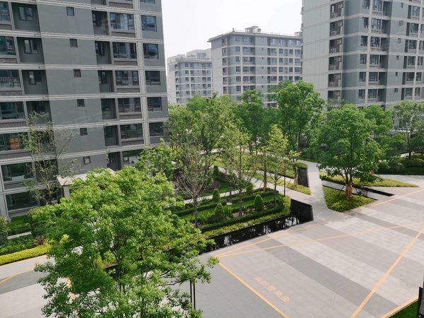 杭州临平乔司新希望美的长粼府新小区,四季青隔壁,全明户型,南北通透