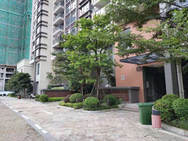 【多图】实地常春藤,经济开发区租房,有点贵,但是物超所值 全齐,拎包