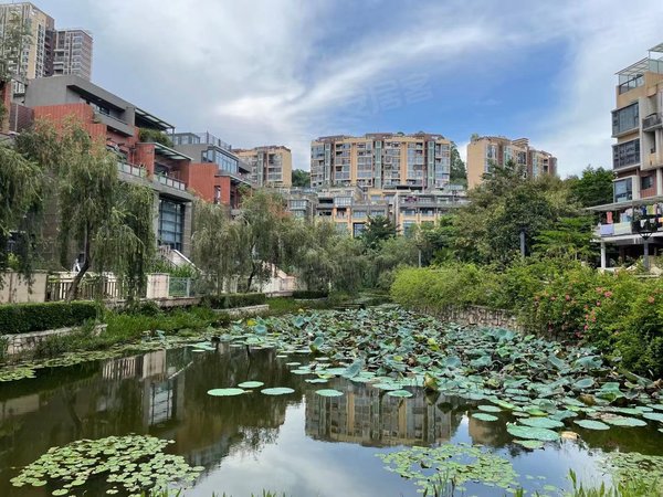 深圳龙岗平湖御峰园(别墅)御峰园六层别墅,带专属停车位及后花园,装修