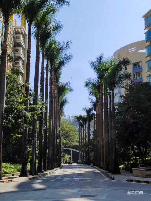 轻轨站旁东田丽园3房只售175万 户型实用通风采光好