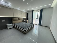 苏州沧浪葑门荷花荡 创智赢家 东环路 苏大 万科广场 近苏州中心 十全街出租房源真实图片