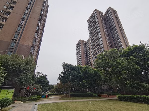 东莞道滘道滘城区沿海丽水佳园沿海丽水佳园 拎包入住3房精装修 南北