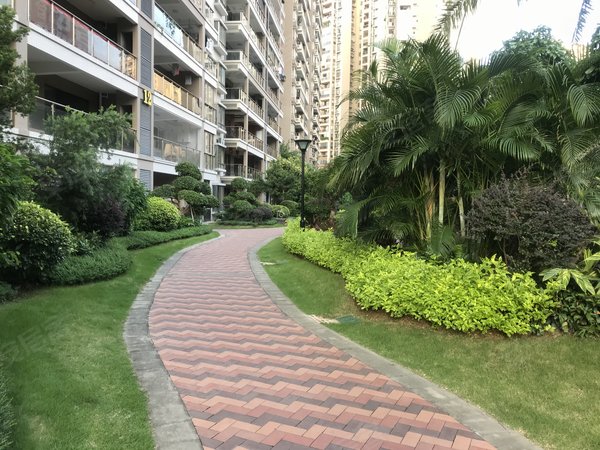 梧州长洲市政府山海观山海观 1室1厅1卫 电梯房 精装修 56平出租房源