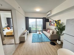深圳宝安后瑞后瑞地铁站精装一室一厅 全屋定制 品牌家私 民水民电 拎包住出租房源真实图片