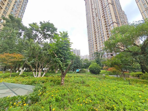 昆明盘龙世博片区誉峰峰景直租无中介 近霖雨桥 欣都龙城 北辰财富