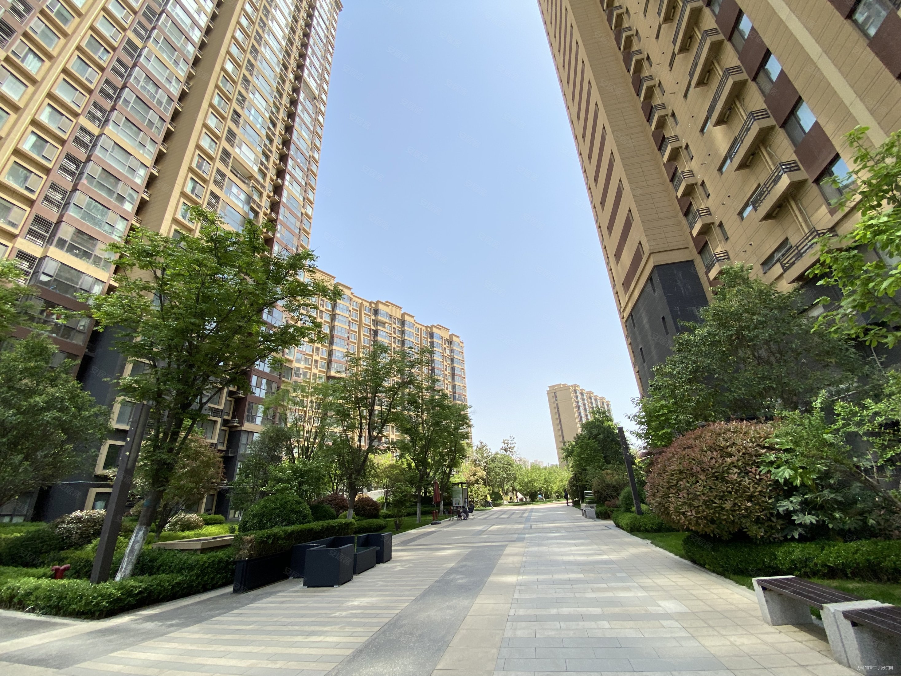 品质小区 诚心出售 满三满二 近地铁 科教园 医疗配套齐全,真爱万科公