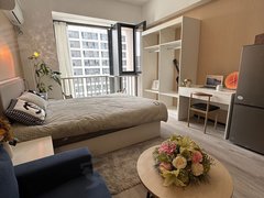 上海嘉定江桥新城公寓直租，整租，1室1厅，独厨独卫，拎包入住，押一付一出租房源真实图片