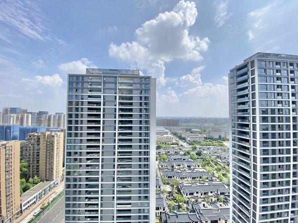 杭州临平临平理想臻品临平住宅天花板理想珍品西边套161方四房三卫带