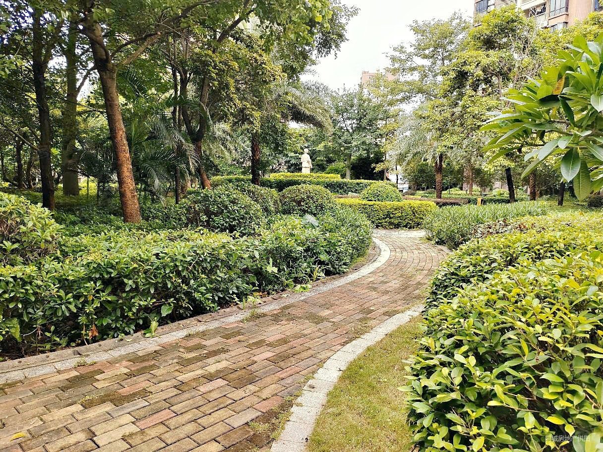 水口龙湖四路大新城南贸花园毛坯四房南北通透看花园