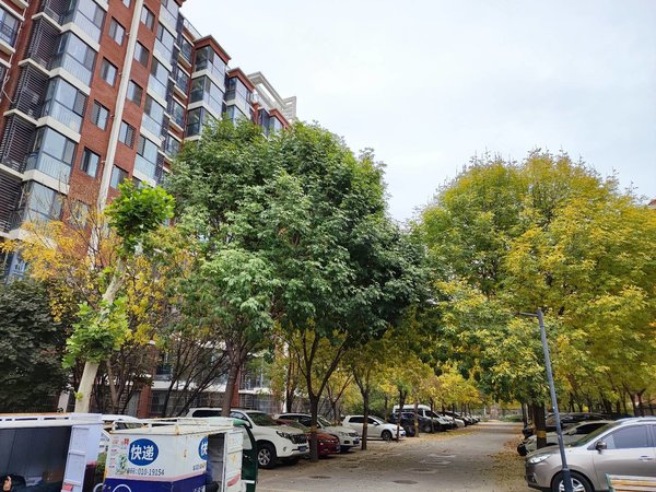 北京海淀马连洼柳浪家园北里柳浪家园 精装南北通透2居室 家电齐全 近