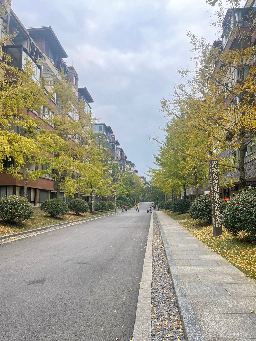 仁山公园紫荆苑