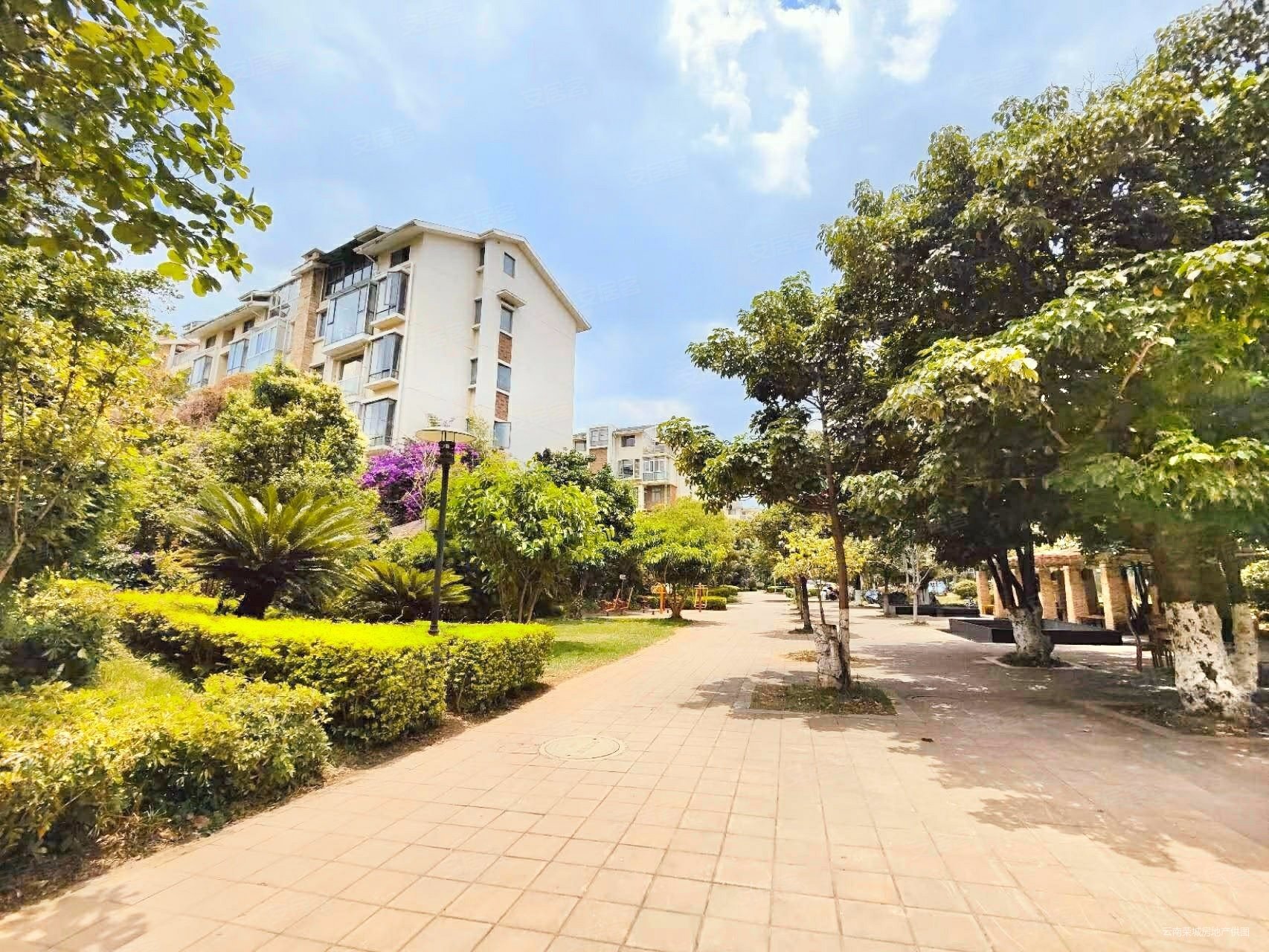 滇池卫城蓝湾5室2厅2卫170㎡南北430万