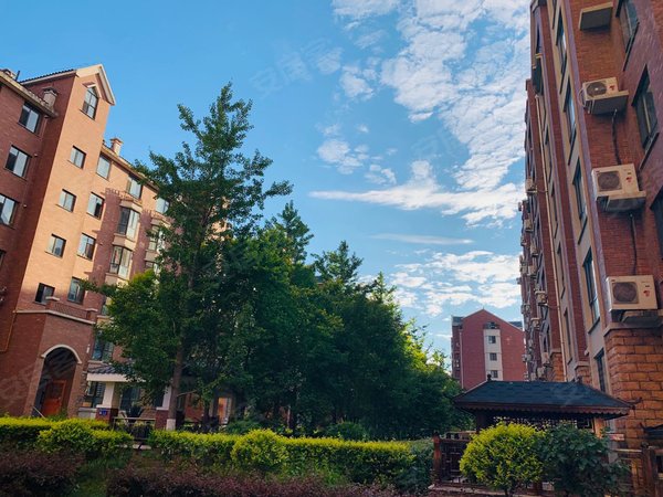 辽阳文圣辽阳大剧院金域明珠金域明珠 3室2厅2卫出租房源真实图片