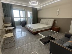 六安裕安裕安万达广场房，东，华邦新华城畅华园，和华园，祥华园精装公寓出租房源真实图片