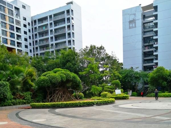 深圳龙岗宝龙蓝钻风景宝龙蓝钻精致单间,仅租1600元,随时看房出租房源