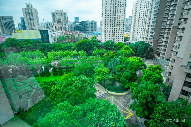 急抛底价大胆来谈6号楼高区j全明户型 三面采光,世茂滨江花园(南区)