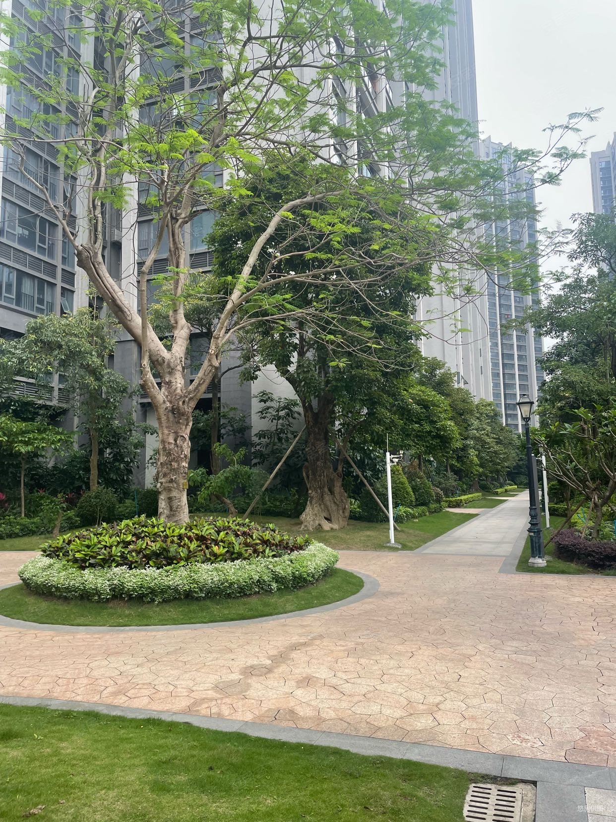 五洲家园(一期)2室2厅2卫91.93㎡南168万