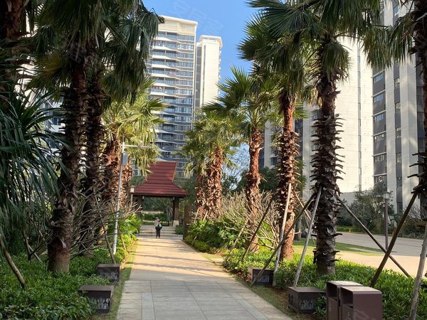 湛江坡头坡头城区华发新城华发新城 3室2厅2卫出租房源真实图片