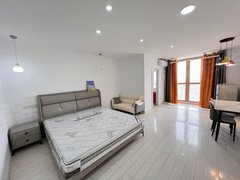 常州武进大学城科教城南地铁口 民用水电带燃气厨房 精装朝南落地窗视野嘎嘎好出租房源真实图片