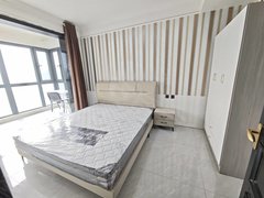 新乡红旗红旗周边别看假图了，三室全女生合租，常青藤，大学城，新乡学院科技学院出租房源真实图片