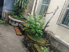 阳江江城新东门玉沙中社新村 3室2厅2卫出租房源真实图片