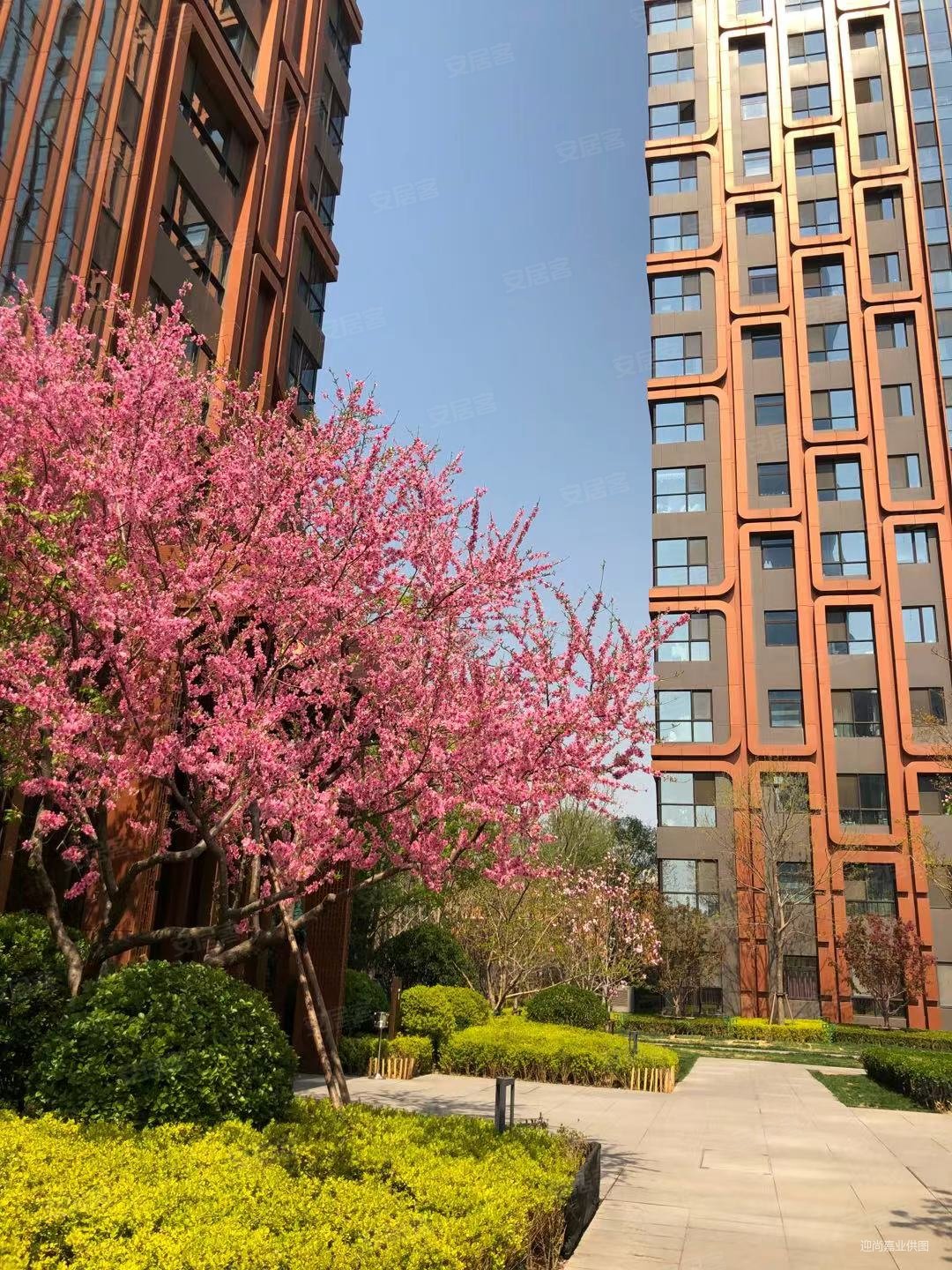 禧瑞都物业直售高层一居室1高性价比看房随时