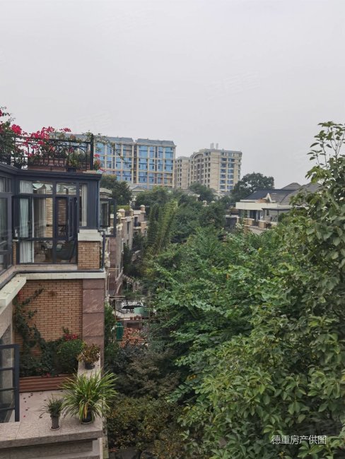 蔚蓝卡地亚黑钻 临河大独栋 带200平方大花园,蔚蓝卡地亚黑钻(别墅)