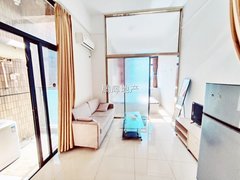 东莞南城鸿福路口旺南世贸中心 南北通透 1室1厅1卫 家电齐全出租房源真实图片