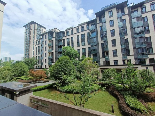 杭州余杭未来科技城环秀府环秀府四叶草户型!来咯来咯来咯!