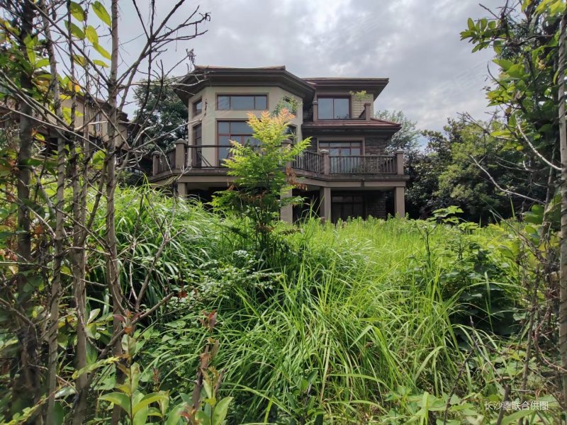 豪装独栋别墅 全明地下室 双车库 300平花园,保利阆峰云墅二手房,800