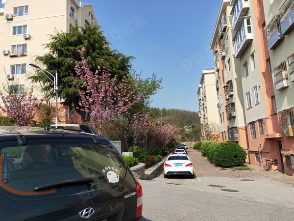 青岛崂山崂山区政府金岭新村金岭新村 精装套一 家具家电齐全 总价低