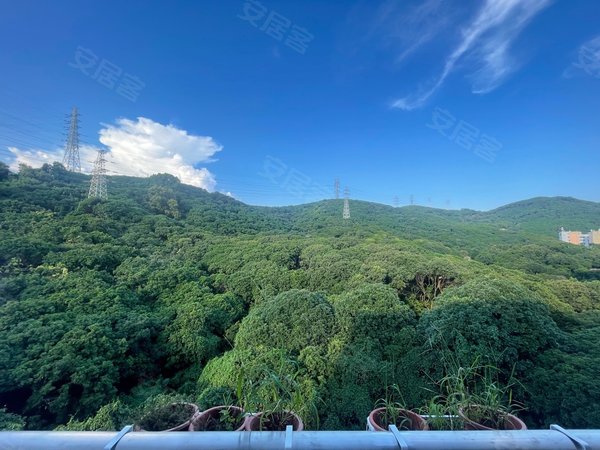 深圳南山西丽留仙洞大厦一线山景房!