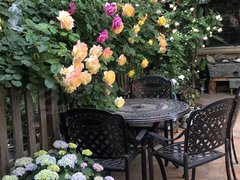 德州德城市区东海巴黎城  带花园  豪华装修  拎包入住出租房源真实图片