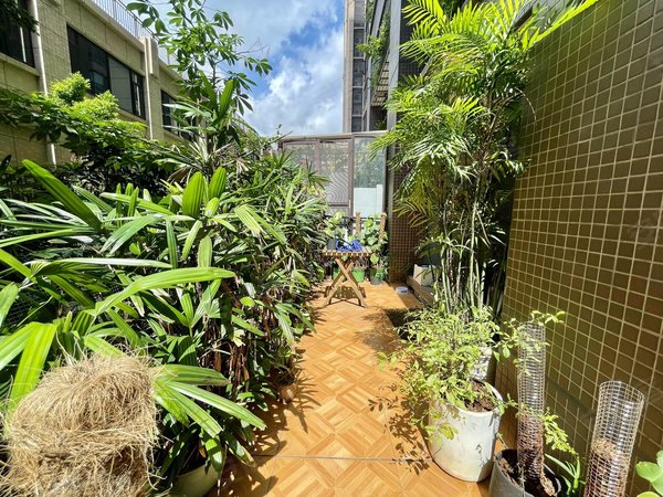 广州荔湾龙溪保利塞纳维拉一楼带大花园 2室2厅1卫 78平 精装修 电梯