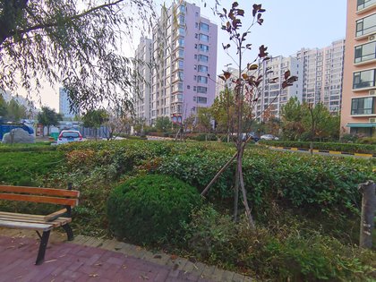 兴冠园,天津路6号 - 临沂兴冠园二手房,租房,房价-临沂安居客