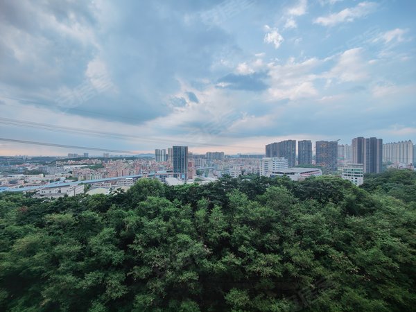 佛山南海金沙洲金名都金名都3房2厅2卫 房源采光好,南北通透,业主诚意