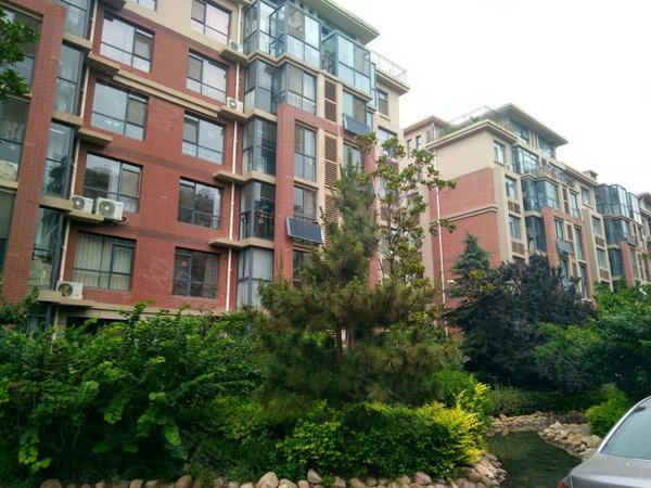 青岛城阳夏庄鑫江水青木华整租 东方城鑫江水青木华 精装修 南北通透