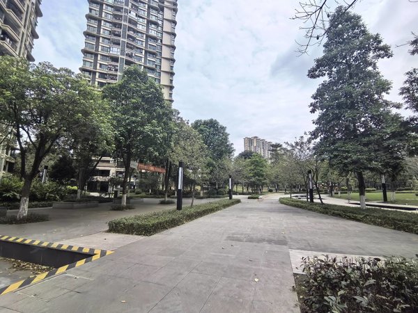 【多图】雅居乐锦城花冠集,新区租房,哇!