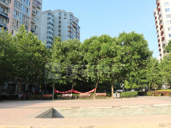 【多图】银领国际,望京租房,1室1厅 银领国际,朝阳租房-北京58安居客