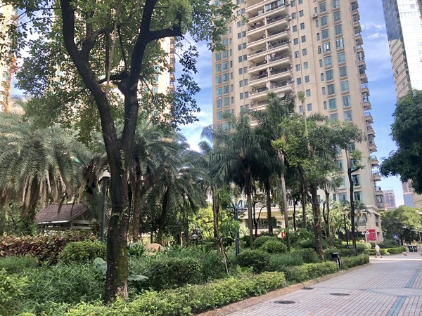 整租 南国花园 精装三房带主套 可随时看房 拎包入住,天河租房-广州58