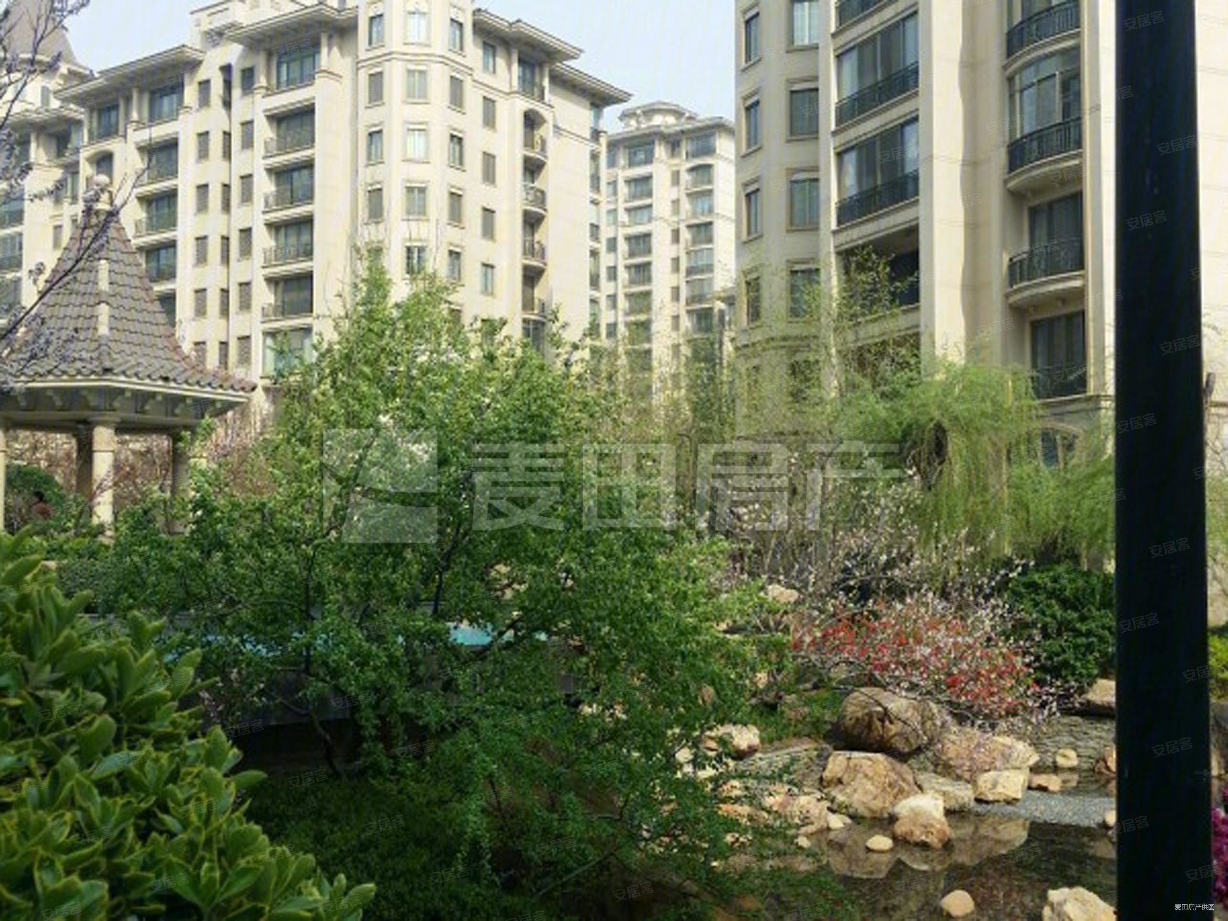 超低密度 带电梯 高楼层视野好 南北通透 满五,星河湾畅园二手房,2250