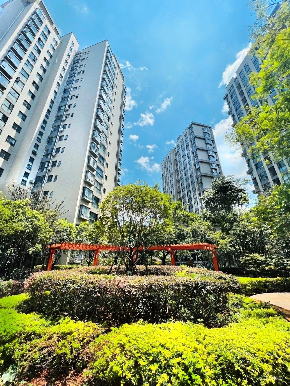 西府景苑朝向好高绿化医疗配套成熟购物方便电梯房