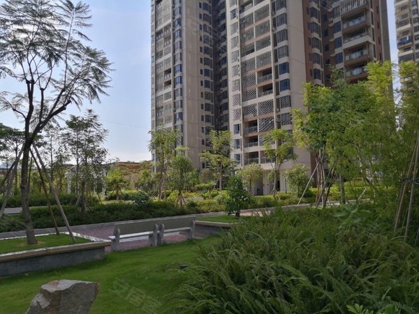 泉州晋江世茂御龙湾雁山花园雁山花园嘉豪御景,全新单身公寓出租,天