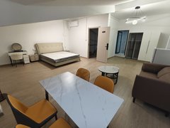 合肥高新客运西站汽车西站 软件园 安医附院 海亮九台别墅 美芝制冷 置地创新出租房源真实图片
