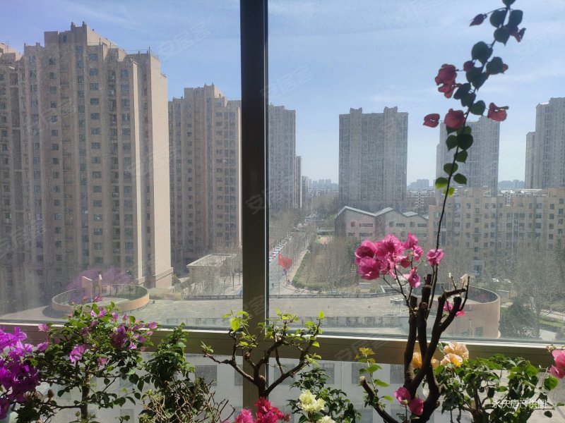 八中 热门降价第五名 祥瑞园单价9800,楼前无遮挡,急售