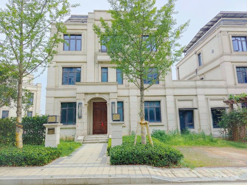 房东 急售 金地三千府 二线临湖 法式独栋 经久耐看,金地三千府(别墅)